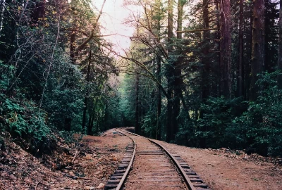 Unveiling the Best Attractions and Activities in Santa Cruz, CA
